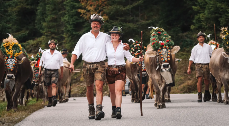 Almabtrieb bezoeken in Mayrhofen