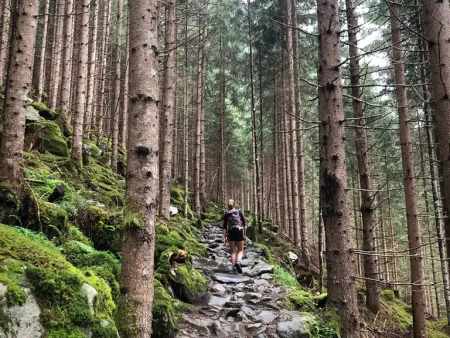Maxhut rondtoch vanuit Ginzling