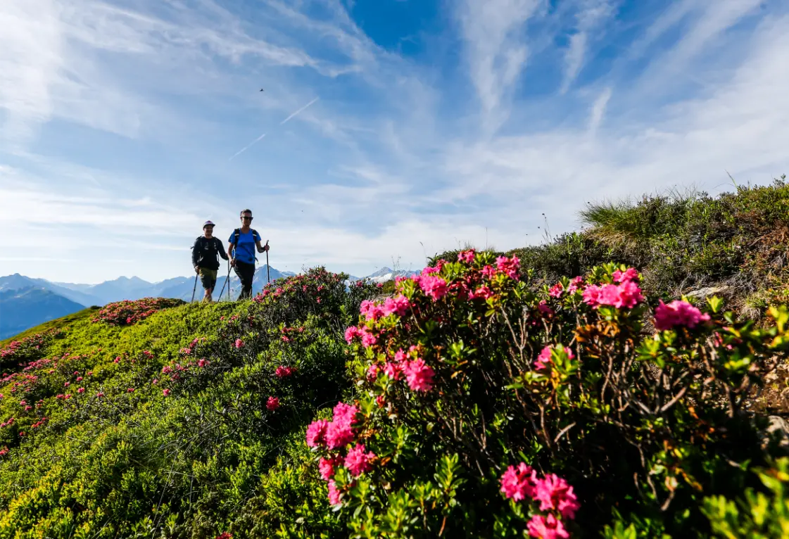 Wandelroutes in Mayrhofen